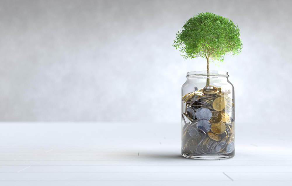 técnicas de ahorro para principiantes